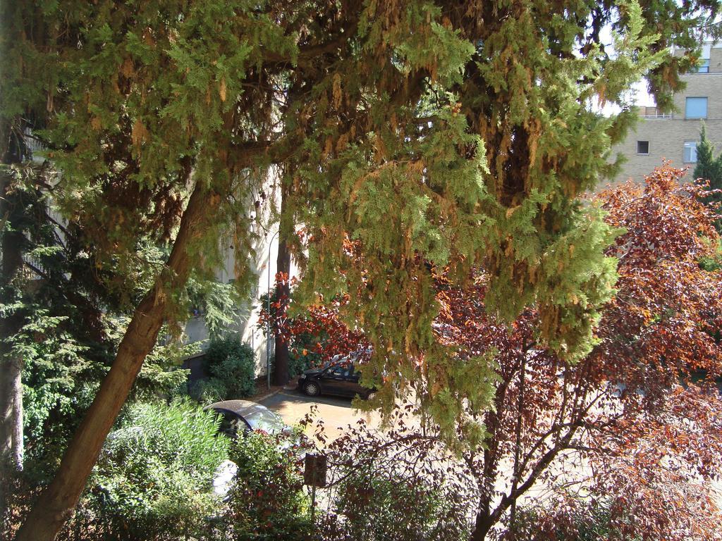 Villa Sciarra Róma Szoba fotó